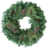 2025 Christmas Tree, Wreath, and Poinsettia Project