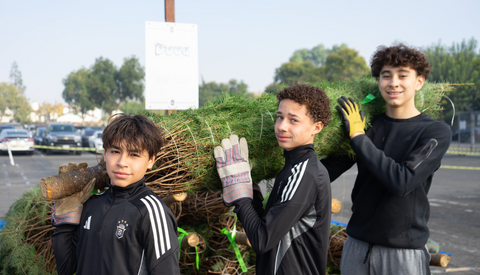 Christmas Tree Project